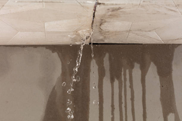 Professional Structural Drying technician working in Lansing, WV